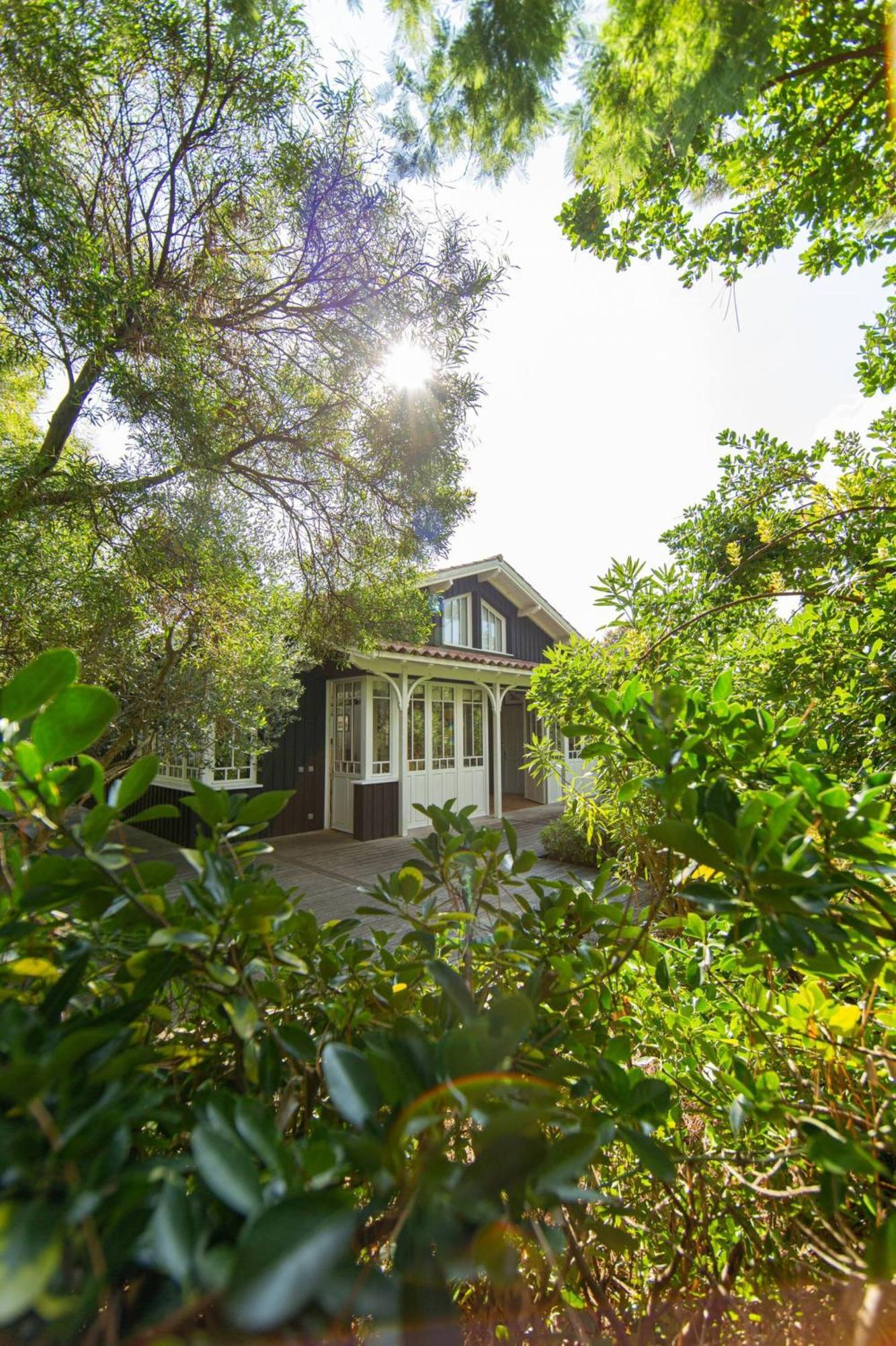 Villa Lolita Pour 6 Pers Au Cap Ferret Lège-Cap-Ferret Exterior foto